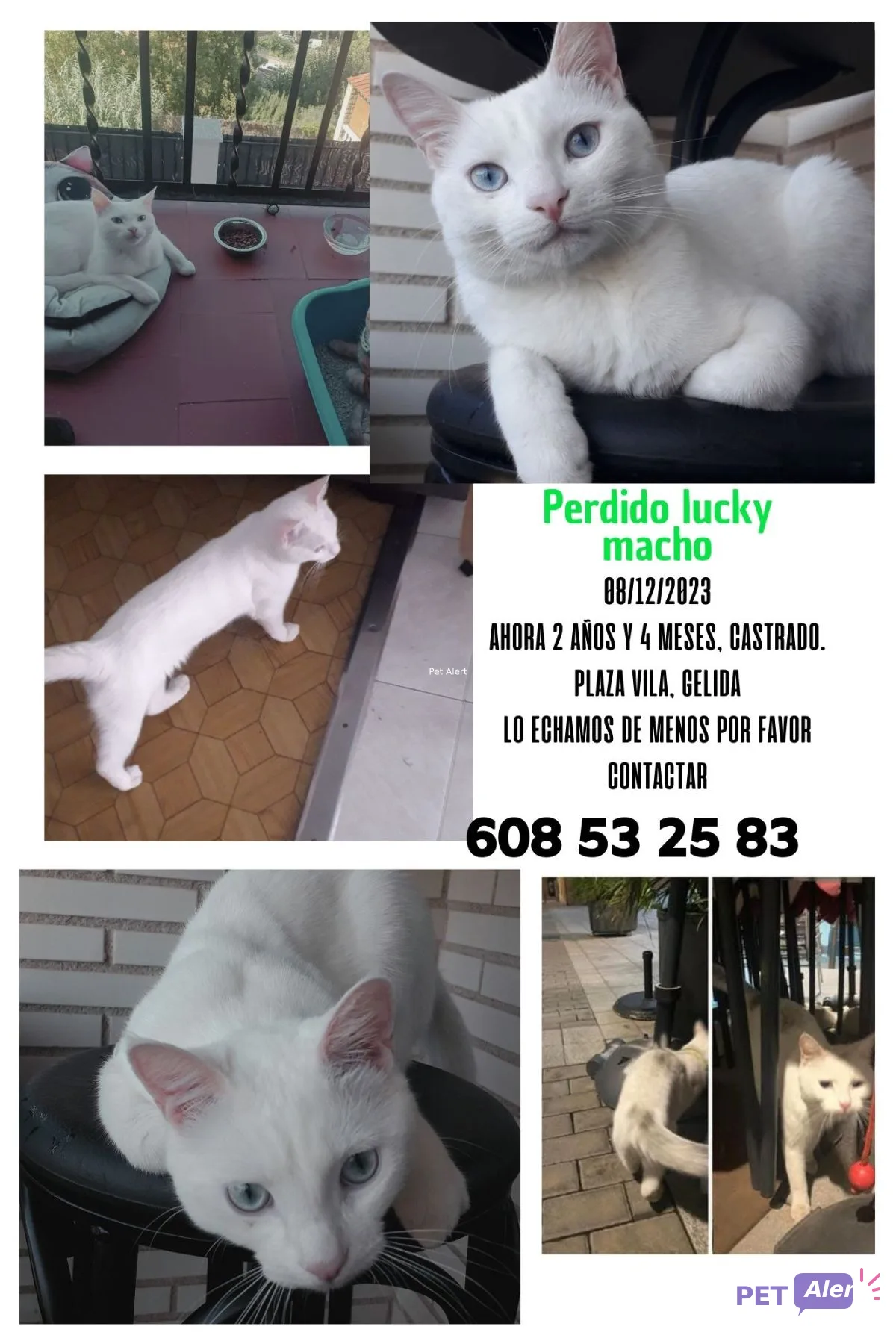 Alerta Lucky