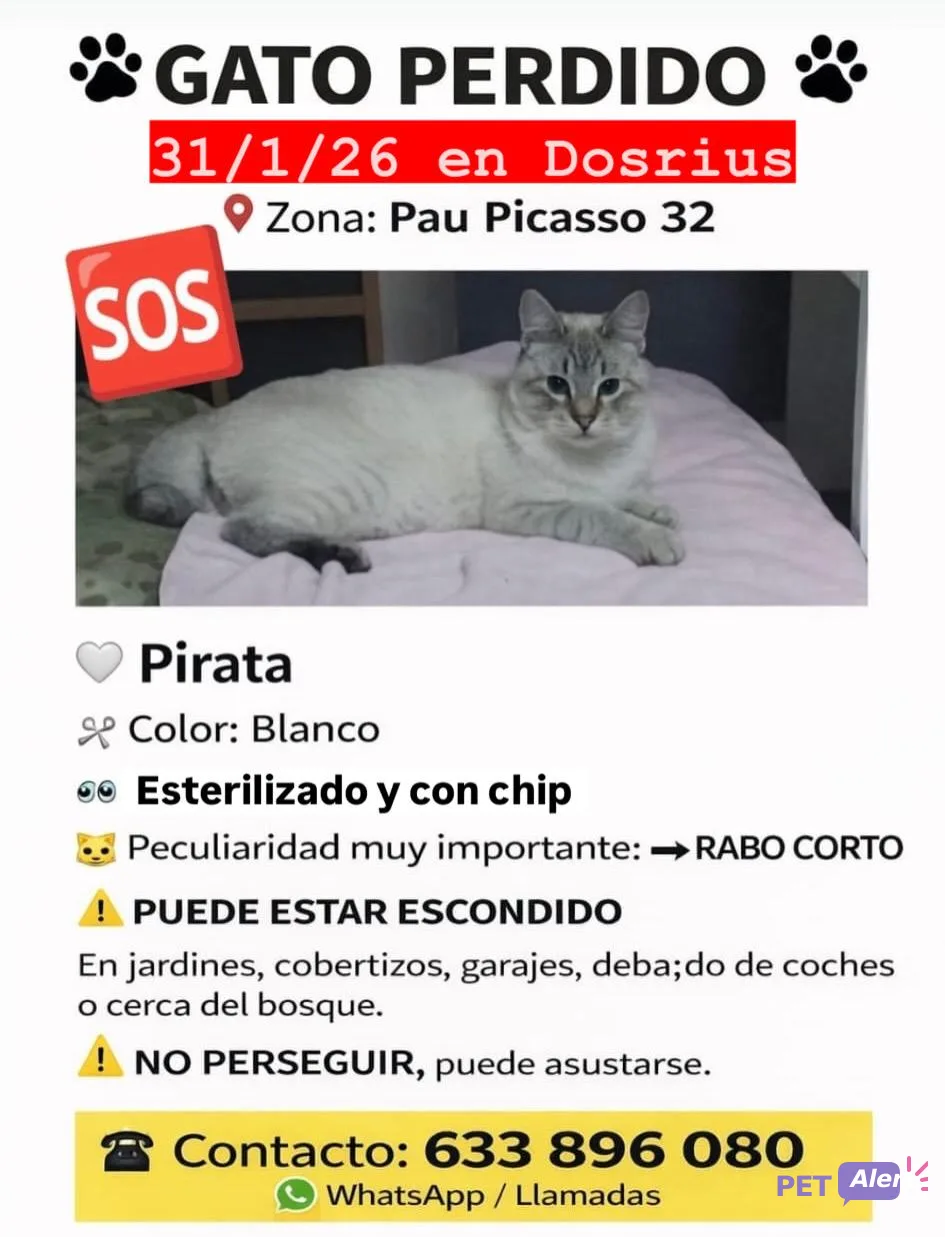 Pirata