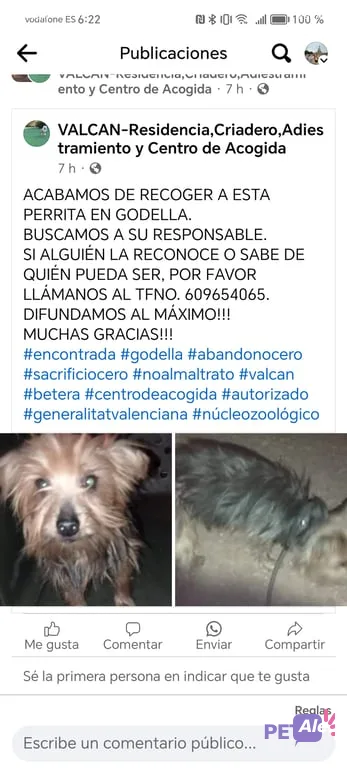 Alerta animal