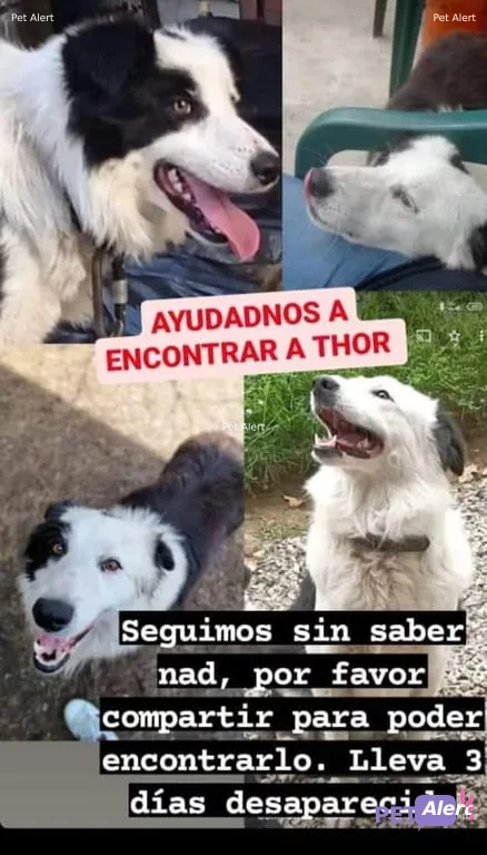 Thor